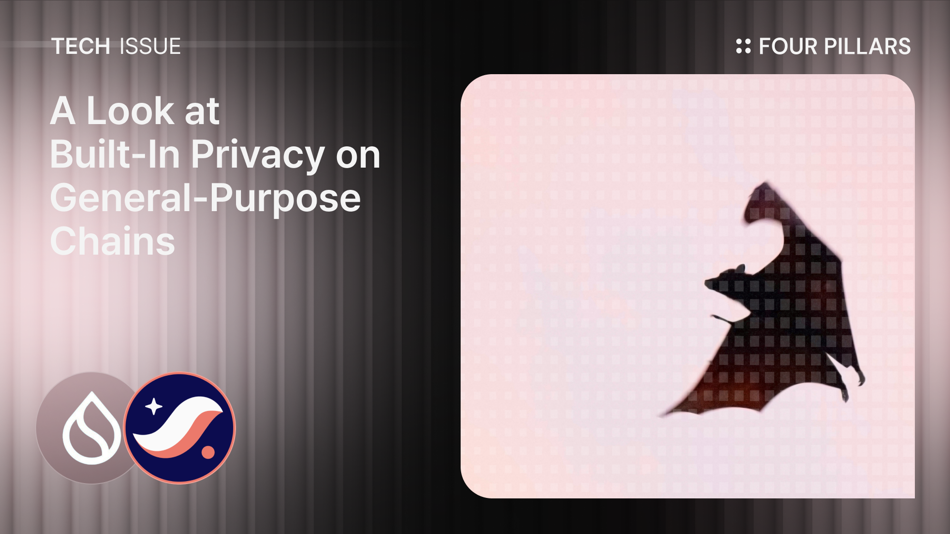 A Look at Built-In Privacy on General-Purpose Chains